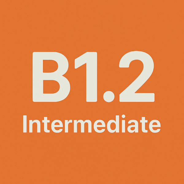 Level: B1.2 - Intermediate  (12-16 years old)