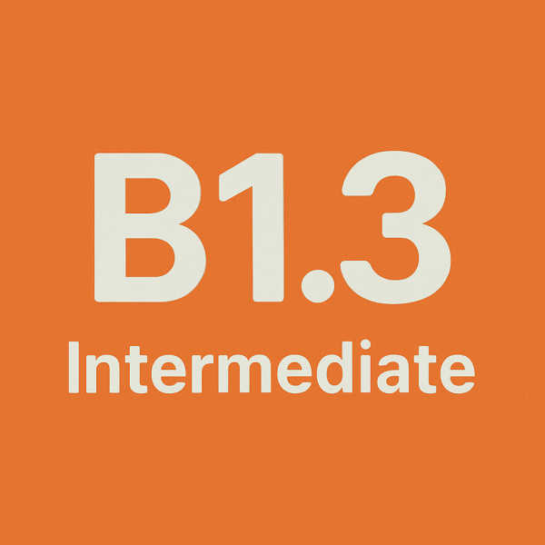Level: B1.3 - Intermediate  (12-16 years old)