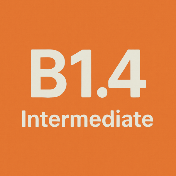 Level: B1.4 - Intermediate  (12-16 years old)