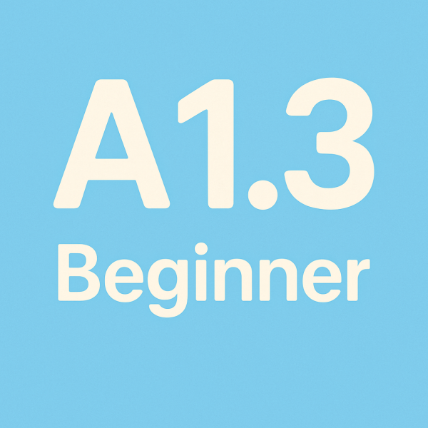 Level: A1.3 - Beginner (7-11 years old)