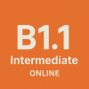 B1.1 Intermediate Online